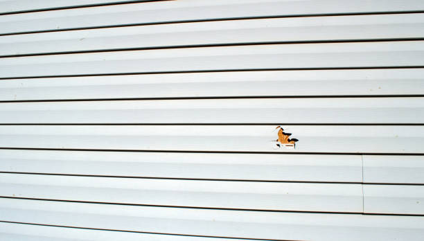 Reliable Cerritos, CA Siding Installation & Repair Solutions