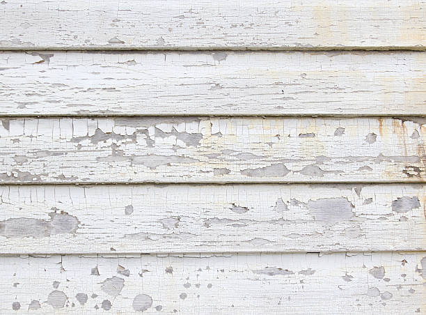 Best Historical Building Siding Restoration  in Cerritos, CA
